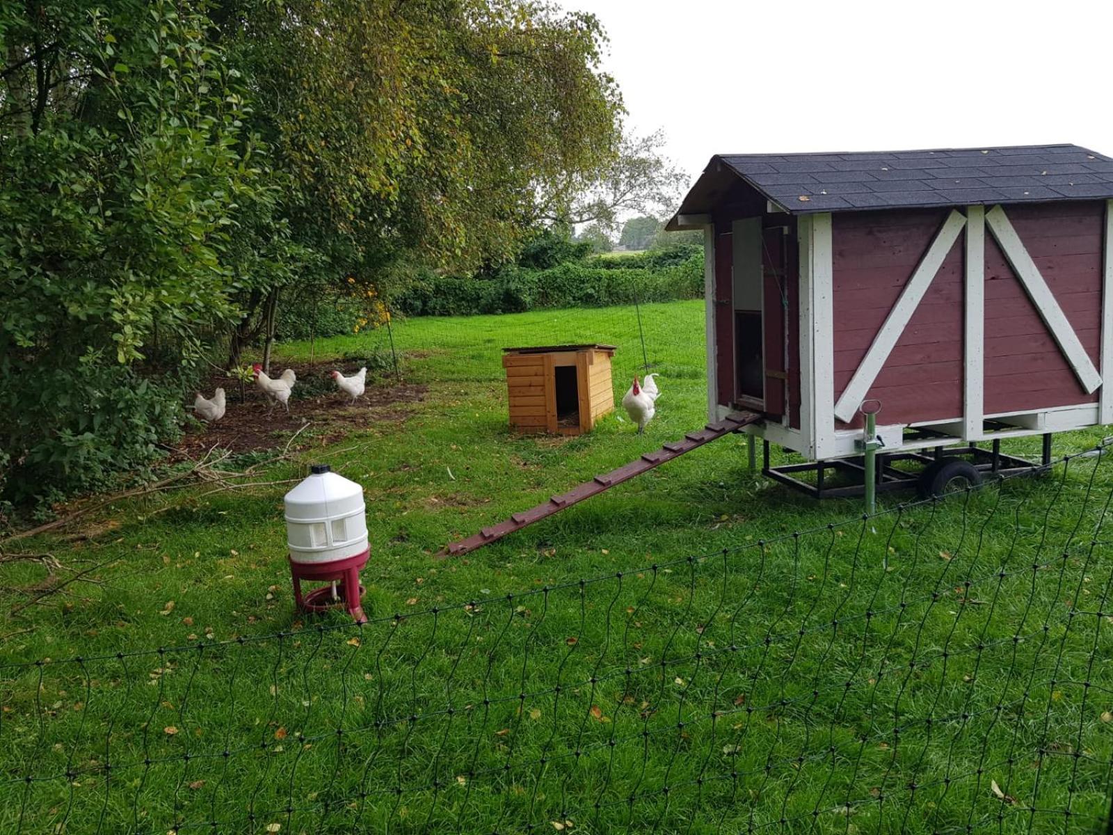 Neu! Landhaus Ostfriesenruhe Berumbur Eksteriør billede